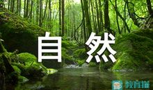 三年级胖大海作文