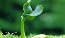 请善待这个世界