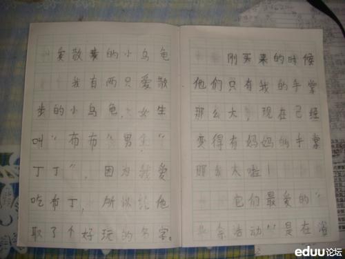 我心爱的东西组成乌龟