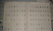 我的心爱之物作文乌龟