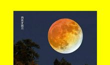 我爱圆月