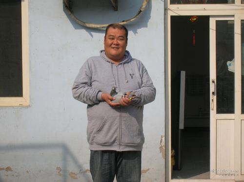 继续写关于那只鸟
