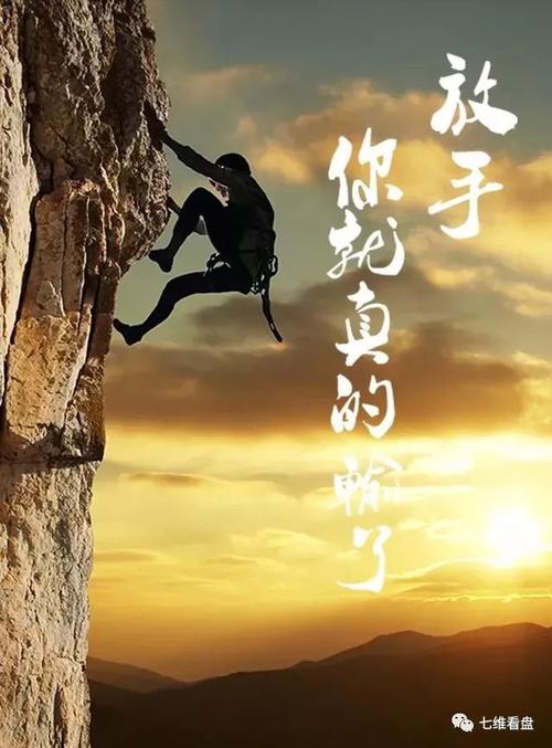 只因为理想而前进