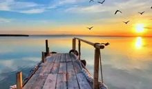 世界为立心者鼓掌