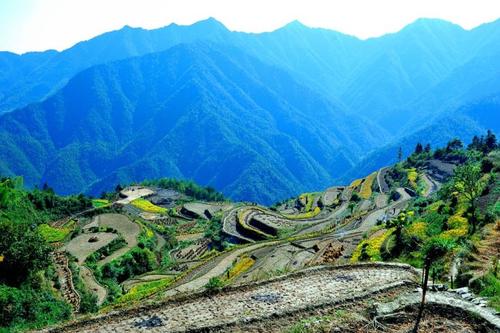 爬茶山