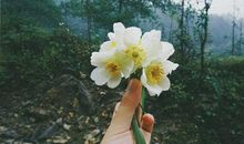 人间烟火，最抚凡人心