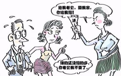 类动荡