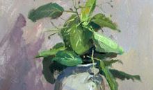 春天种下一颗种子