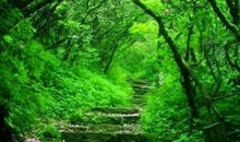 那一颗失落的心