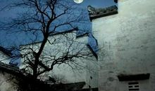 我家乡的小池塘