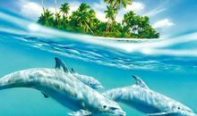 梦回海豚岛读后感