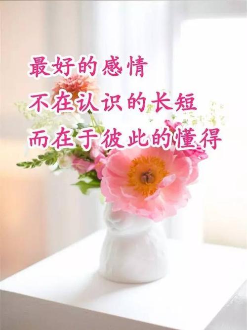 谢谢，我的朋友