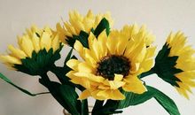 我喜欢的向日葵花