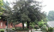 岳麓山下的明珠