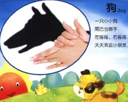 有趣的手影