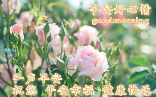 小姐微笑