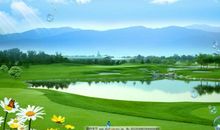 让绿色长留人间