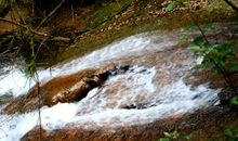 像小溪一样生活