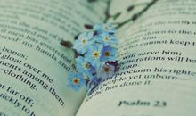 以读你为题的作文