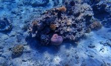 难忘的埃及之旅