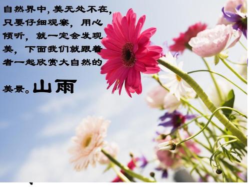 山雨之美