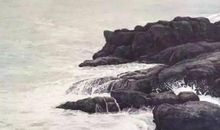 给清莲居士的一封信