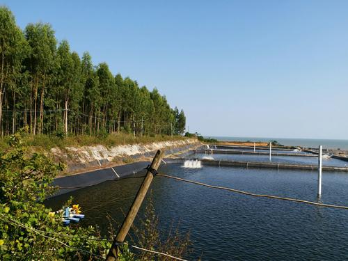 秋季游湖光岩