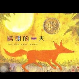 在晴天阅读后
