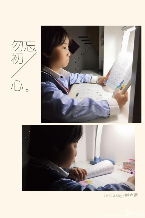 关于阅读《天鹅吹小号》的思考