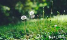 我在春天种下希望