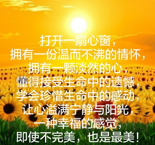 珍惜那一触