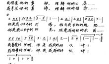 我的好伙伴贾梅