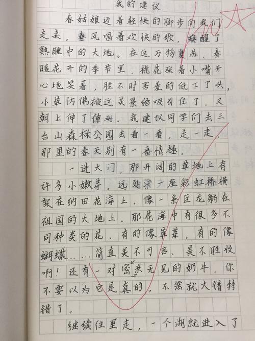 春季郊游建议组成四年级