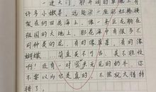 春游的建议作文四年级