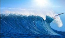 为理想扬起风帆