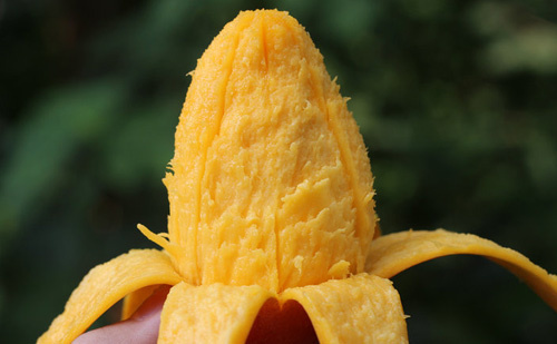 吃芒果