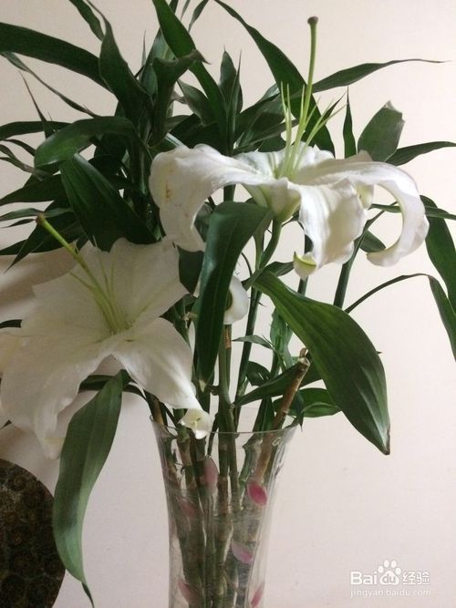 花让生活更美好