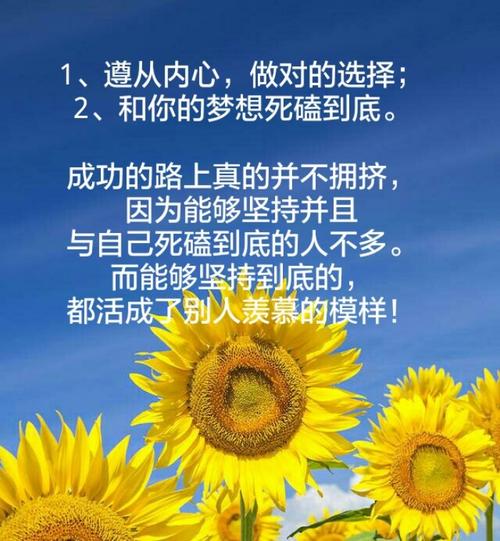 坚持是最好的选择吗？