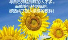 坚持，一定是最好的选择吗？