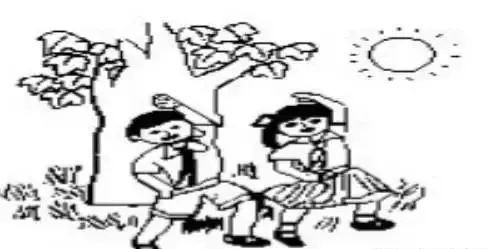 小学二年级看图片写有趣的蛋壳