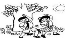 二年级看图写话有趣的蛋壳