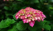 绚丽多姿的家乡