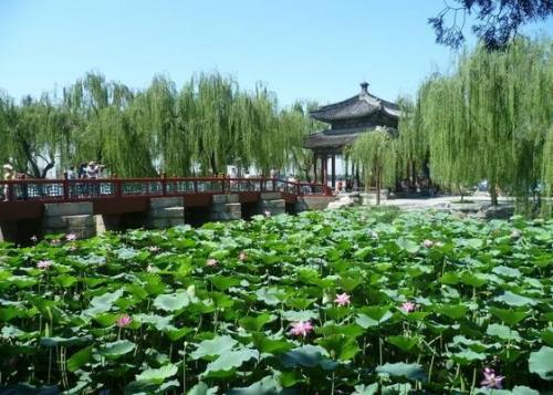 北京的夏天