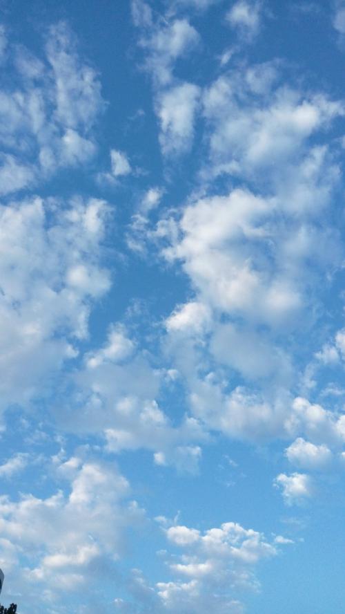 发现生活中的美丽