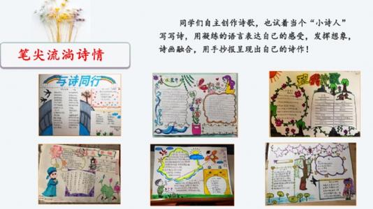 有趣的综合学习活动