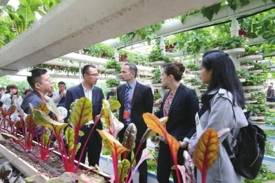 参观蔬菜交易会