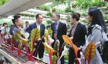 参观蔬菜博览会