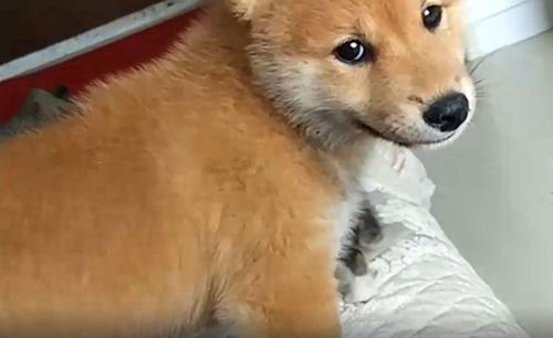 一件事让我怪自己