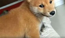 让我自责的一件事