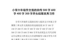 自传作文500字初中